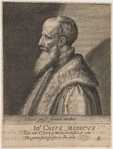 John Caius, Co-Founder of Gonville and Caius College, Cambridge, by Magdalena van de Passe