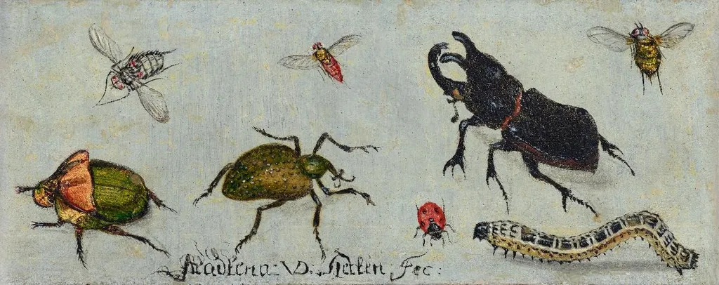 Zwei Insektenstudien. 8 Insekten, by Magdalena van den Hecken, oil, 1642
