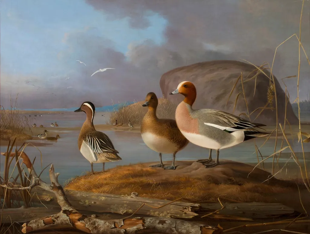 Haapanapari ja heinätavikoiras, by Magnus von Wright, unspecified