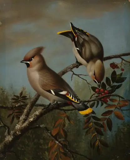 Tilhiä pihlajassa, by Magnus von Wright