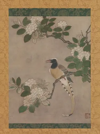 元賀筆　ガマズミ属に山鵲図|Magpie on Viburnum Branch