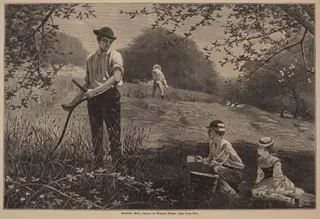Making Hay