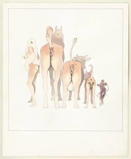 Untitled, by Malcolm Bailey
