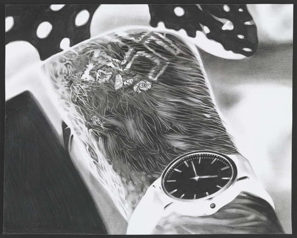 Untitled, by Marc Brandenburg, graphite, 2001