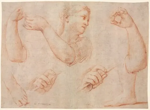 Study of a Young Woman Playing a Tambourine, and Studies of an Arm, Hands, and Feet (Studies for  "Miriam Leading the Chorus of Women Who Give Thanks for the Routing of Pharoah", by Marcantonio Franceschini