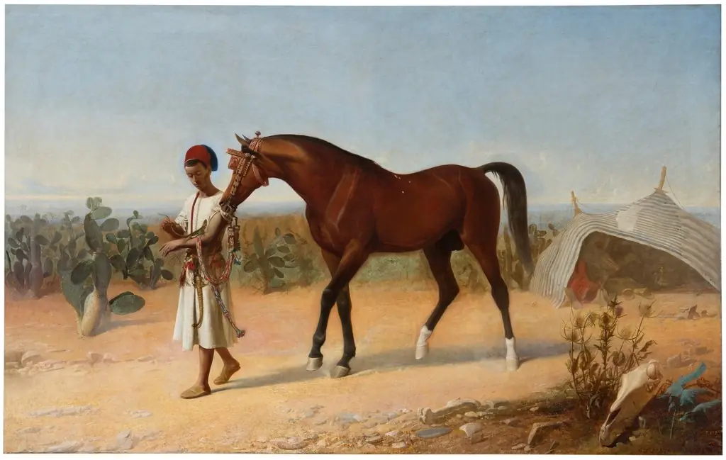 Joven marroquí llevando del diestro a un caballo, by Marcelino de Unceta