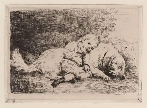 Child with a Dog, by Marcellin-Gilbert Desboutin