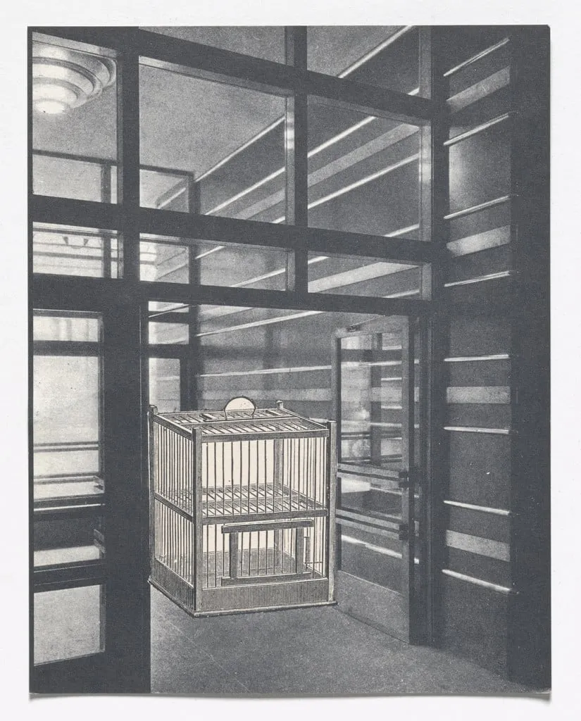 Untitled, by Marcia Herscovitz, ink, 1968