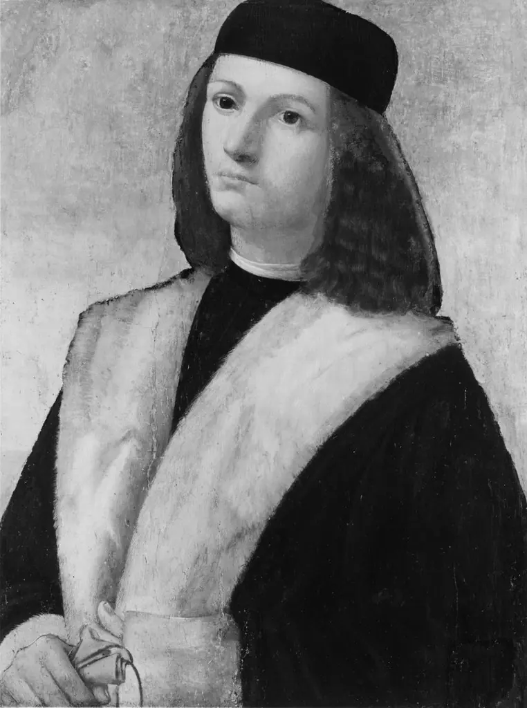 Portrait of a Young Man with Fur Collar, by Marco Basaiti