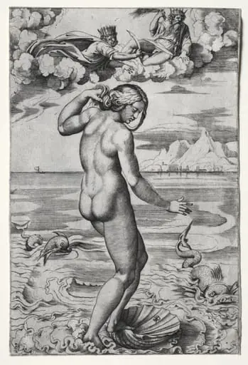The Birth of Venus, by Marco Dente