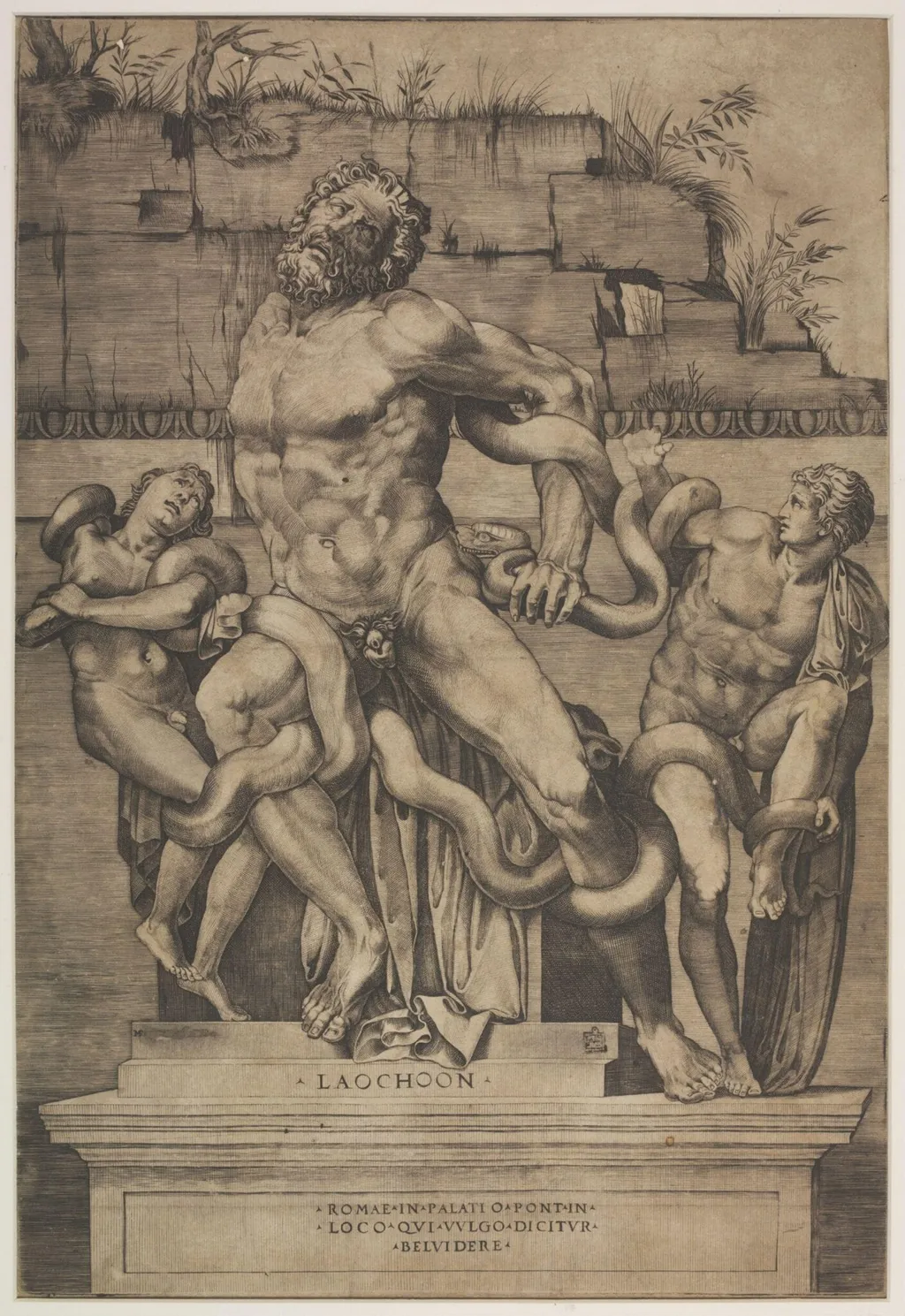 The Laocoon Before Restoration, by Marco Dente