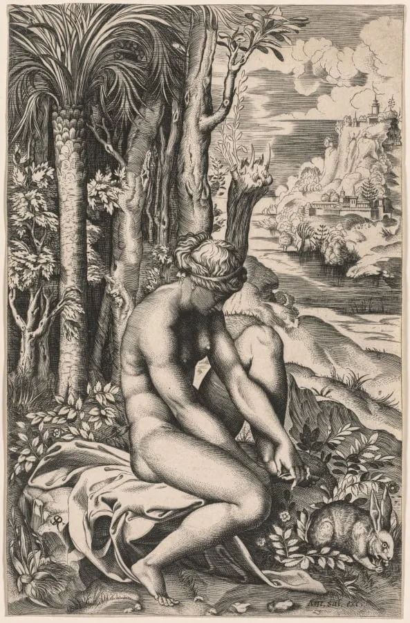 Venus Wounded by a Rose's Thorn, by Marco Dente, 1516