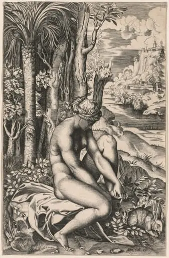 Venus Wounded by a Rose's Thorn, by Marco Dente