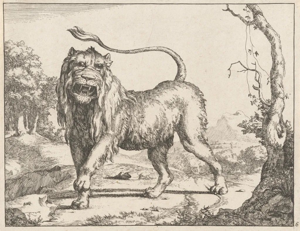 Lion, by Marcus de Bye, ink, 1664
