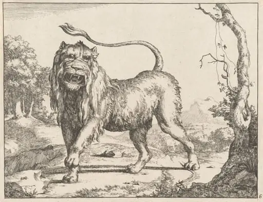 Lion