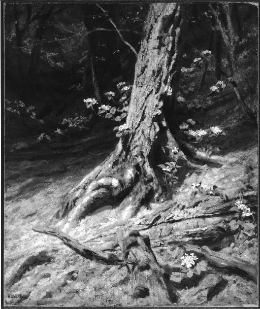 Interior of a Wood: The Past and the Present, by Marcus Waterman