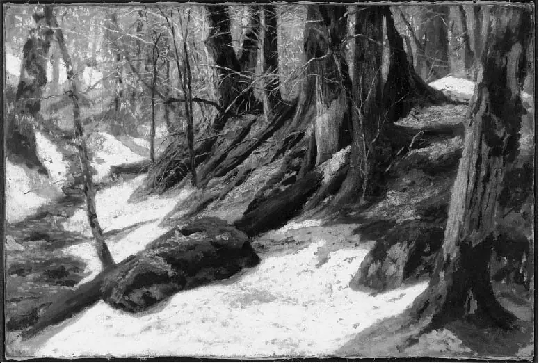 Wood Interior, by Marcus Waterman