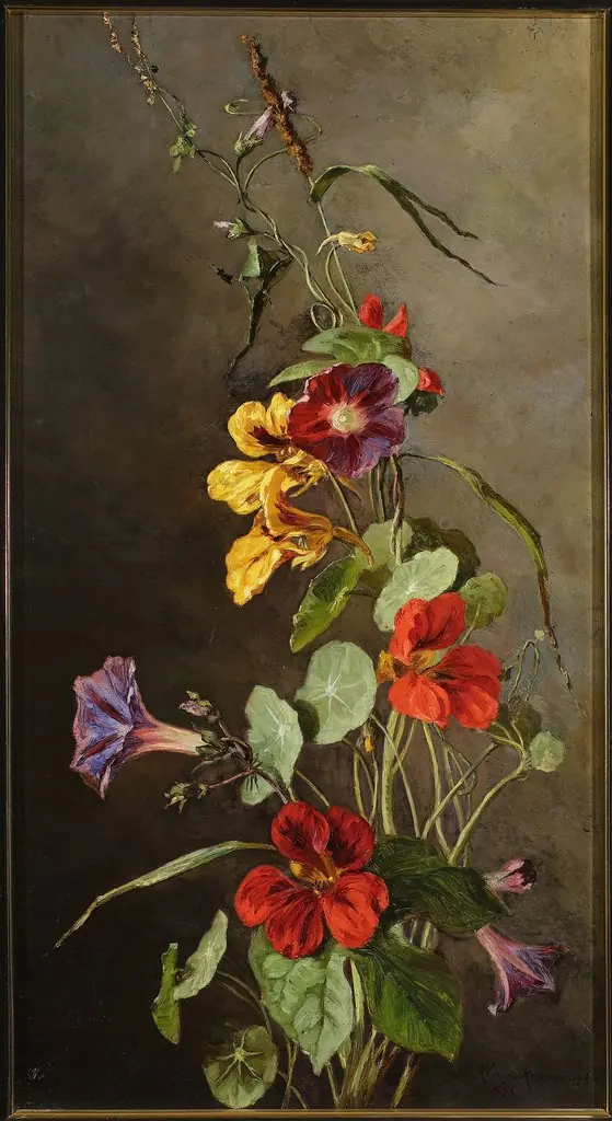 Flowers – Nasturtiums, by Maria Klass-Kazanowska