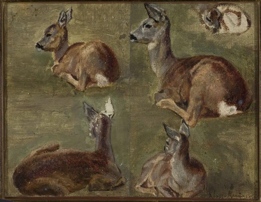 Sketches of fawns