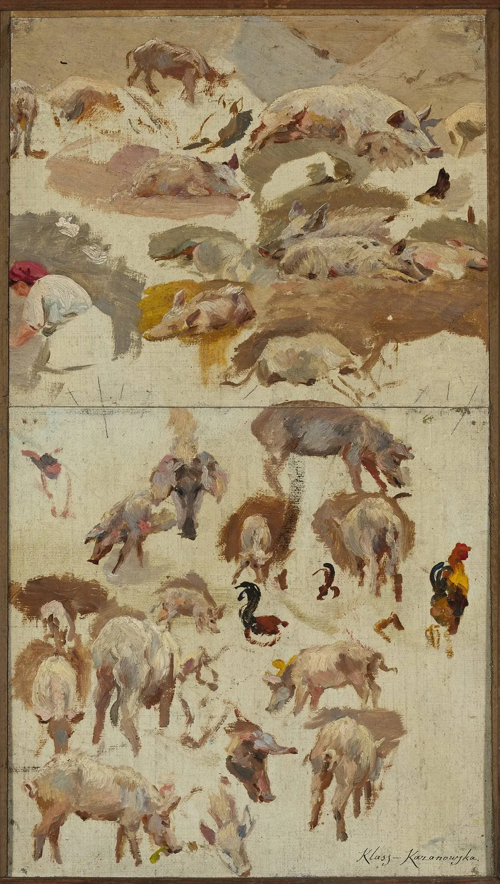 Studies of pigs, by Maria Klass-Kazanowska, unspecified