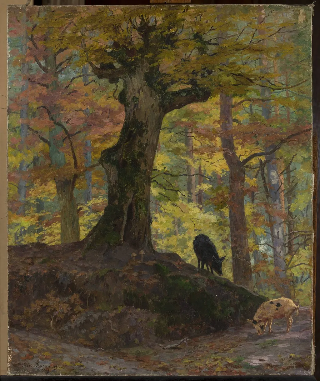 Wild pigs in the forest, by Maria Klass-Kazanowska, oil, 1899