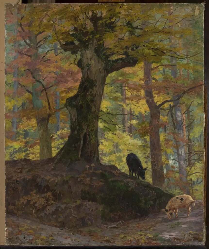 Wild pigs in the forest, by Maria Klass-Kazanowska