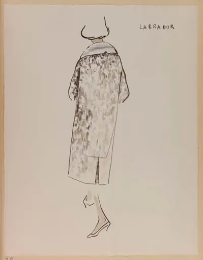 Labrador, by Marie-Louise Carven