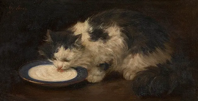 Delicious Milk