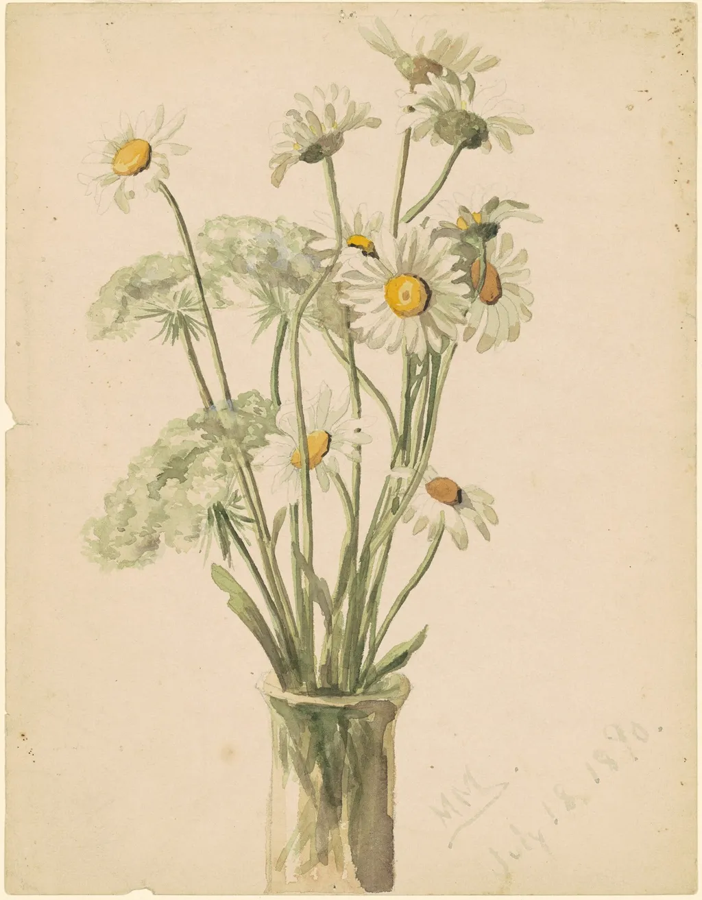 Daisies and Queen Ann's Lace, by Marietta Minnigerode Andrews, graphite, 1890