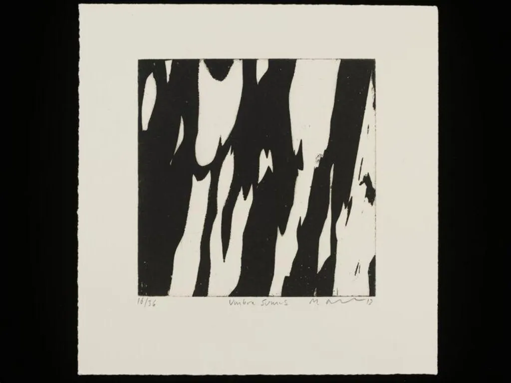 Umbra Sumus, by Mark Graver, 2013