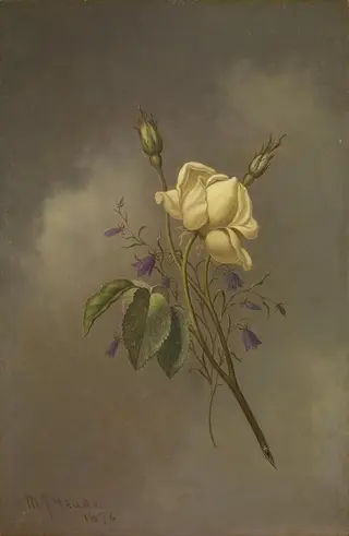 A Yellow Rose Against a Cloudy Sky, by Martin Johnson Heade, 1888