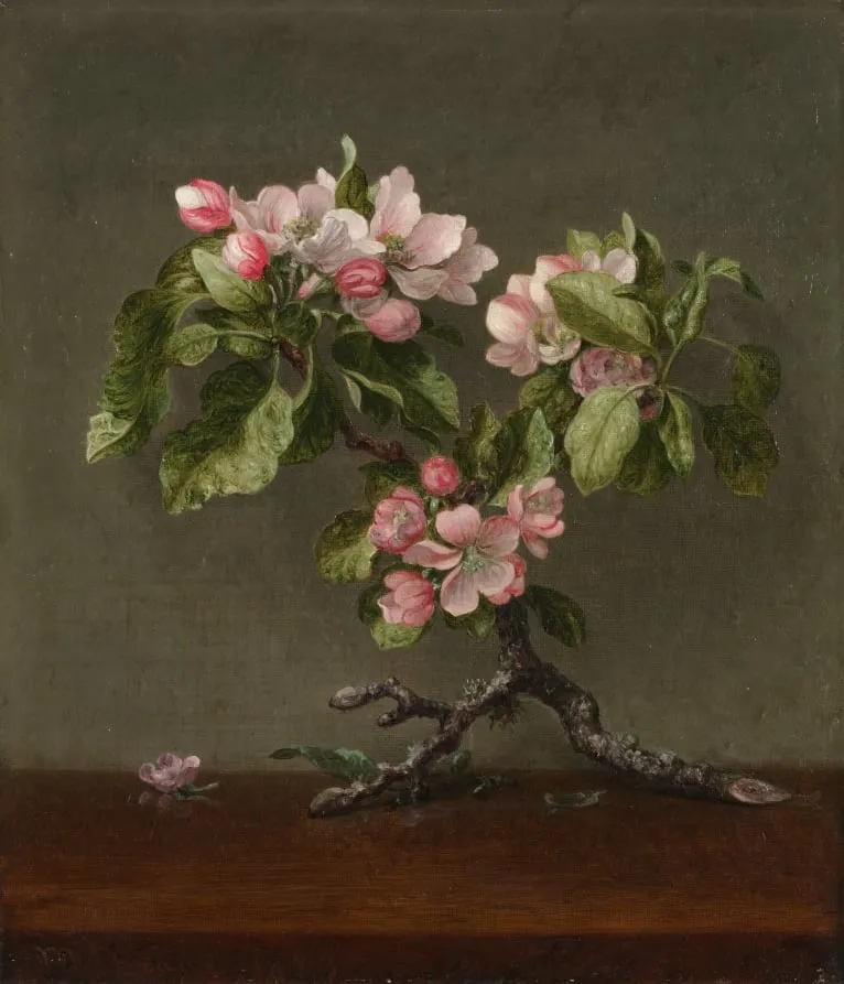 Apple Blossoms, by Martin Johnson Heade, unspecified, 1873