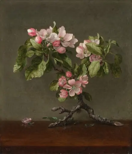 Apple Blossoms, by Martin Johnson Heade