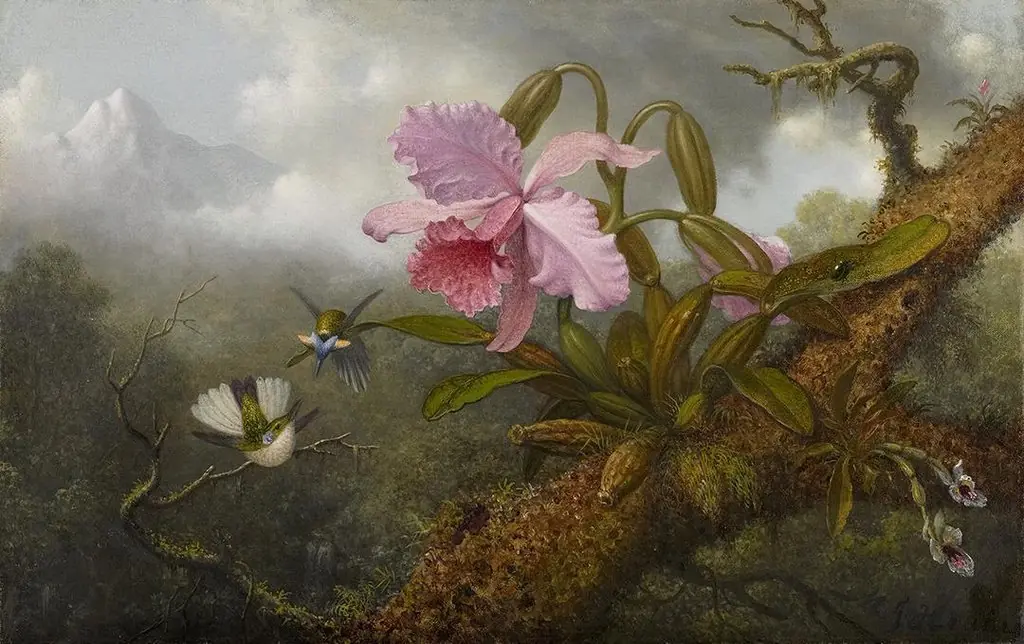 Cattleya Orchid, Two Hummingbirds and a Beetle, by Martin Johnson Heade