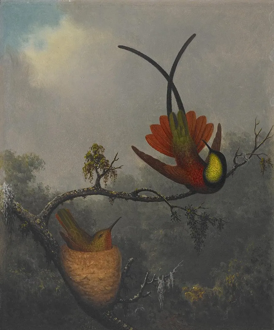 Crimson Topaz, by Martin Johnson Heade, oil, 1863