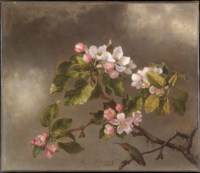 Hummingbird and Apple Blossoms, Martin Johnson Heade