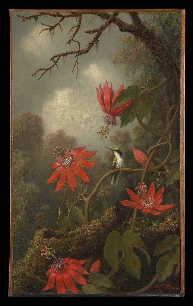 Hummingbird and Passionflowers