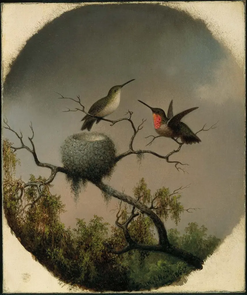 Hummingbirds with Nest, by Martin Johnson Heade