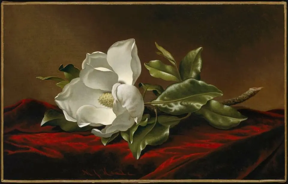 Magnolia Grandiflora, by Martin Johnson Heade