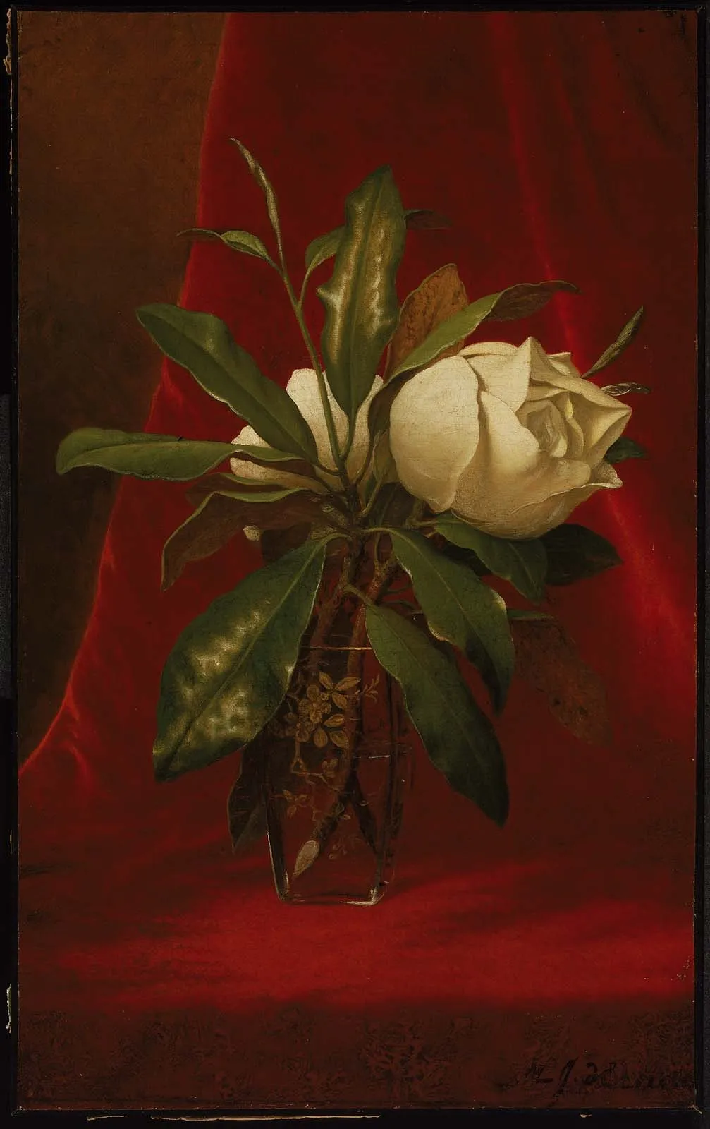 Magnolias, by Martin Johnson Heade, oil, 1896