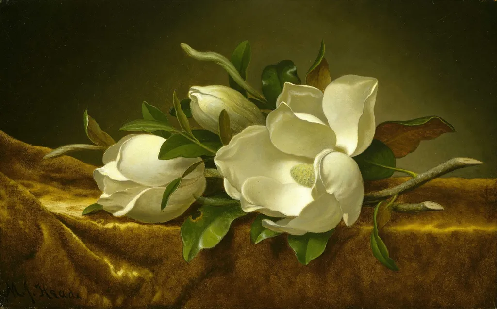 Magnolias on Gold Velvet Cloth, by Martin Johnson Heade, oil, 1894