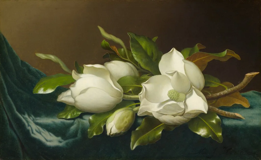 Magnolias on Light Blue Velvet Cloth, by Martin Johnson Heade, oil, 1890