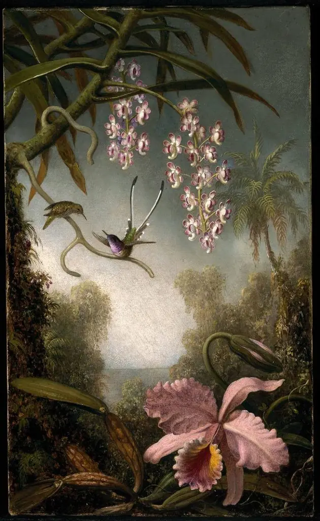 Orchids and Spray Orchids with Hummingbird, by Martin Johnson Heade, 1875