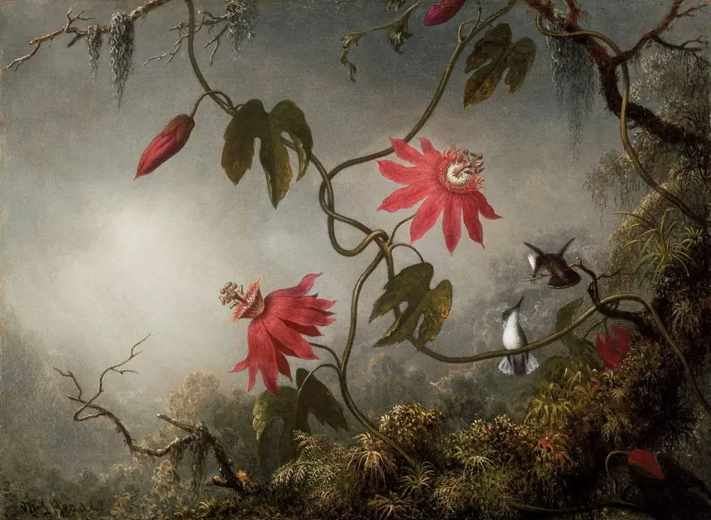 Passion Flowers and Hummingbirds, by Martin Johnson Heade