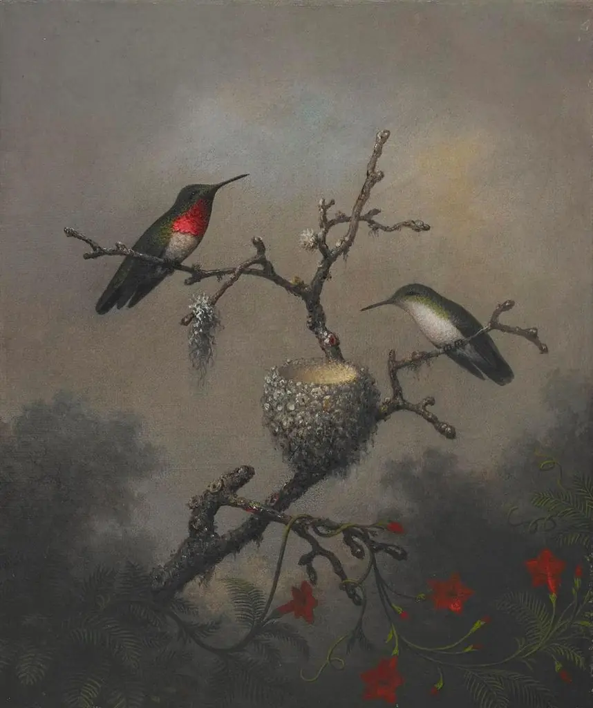 Ruby-throated Hummingbird, by Martin Johnson Heade