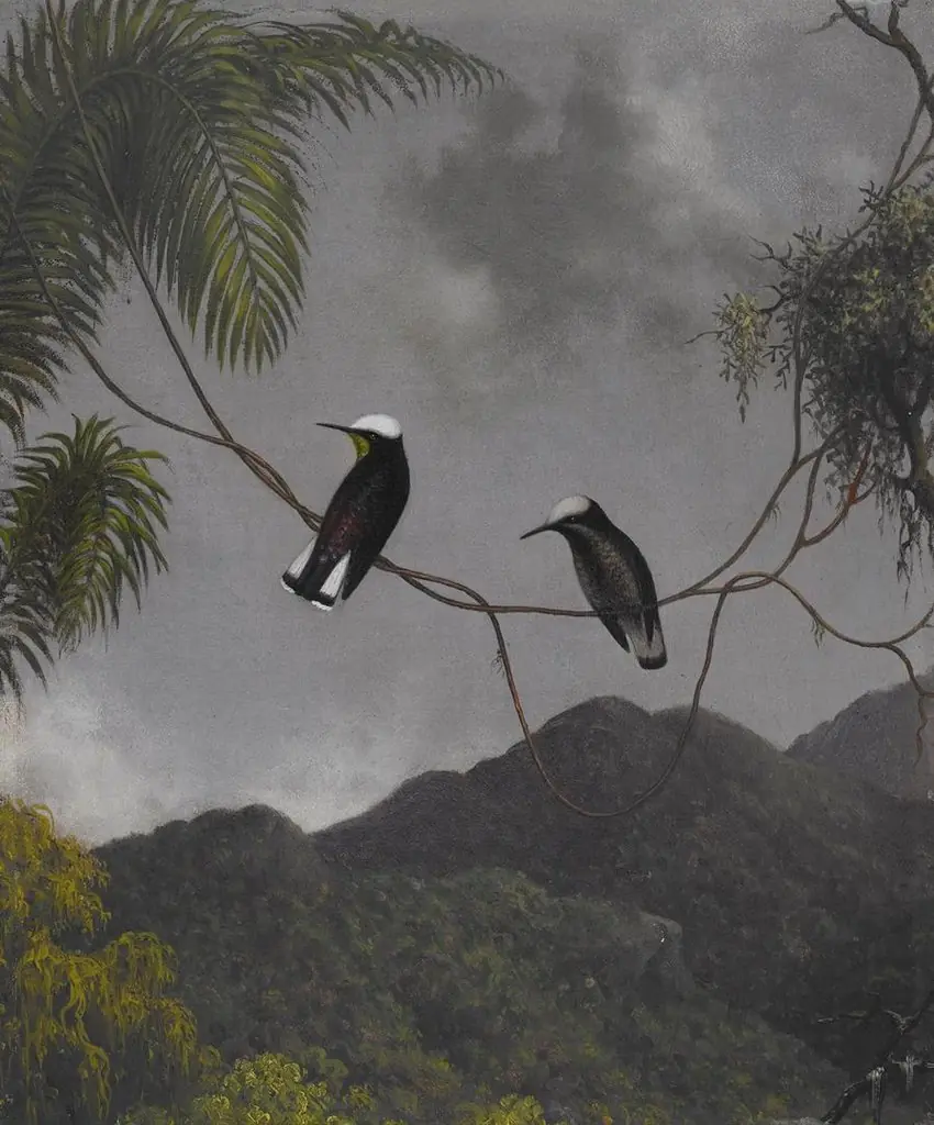 Snowcap, by Martin Johnson Heade