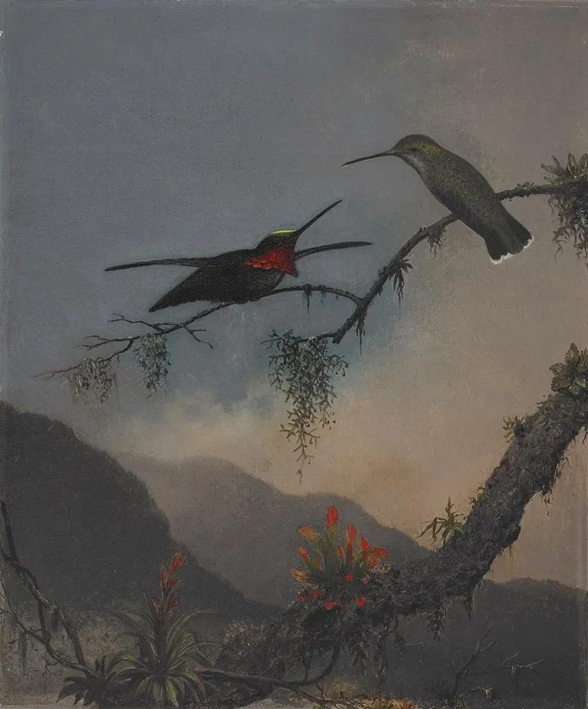 Stripe-breasted Starthroat, by Martin Johnson Heade