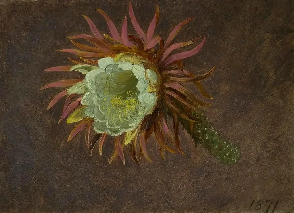 Study of a Night-Blooming Cereus, by Martin Johnson Heade, 1871