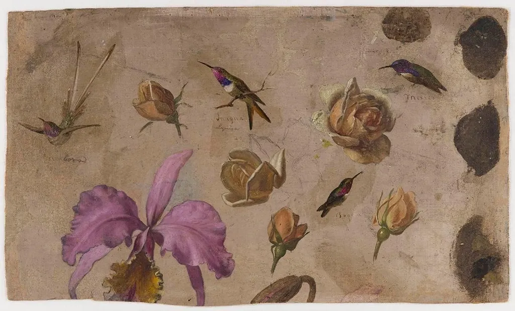 Study of Four Hummingbirds with Roses and an Orchid, by Martin Johnson Heade, unspecified, 1870