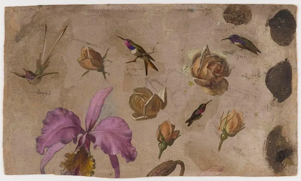 Study of Four Hummingbirds with Roses and an Orchid, by Martin Johnson Heade